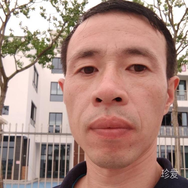 清風(fēng)揚(yáng)