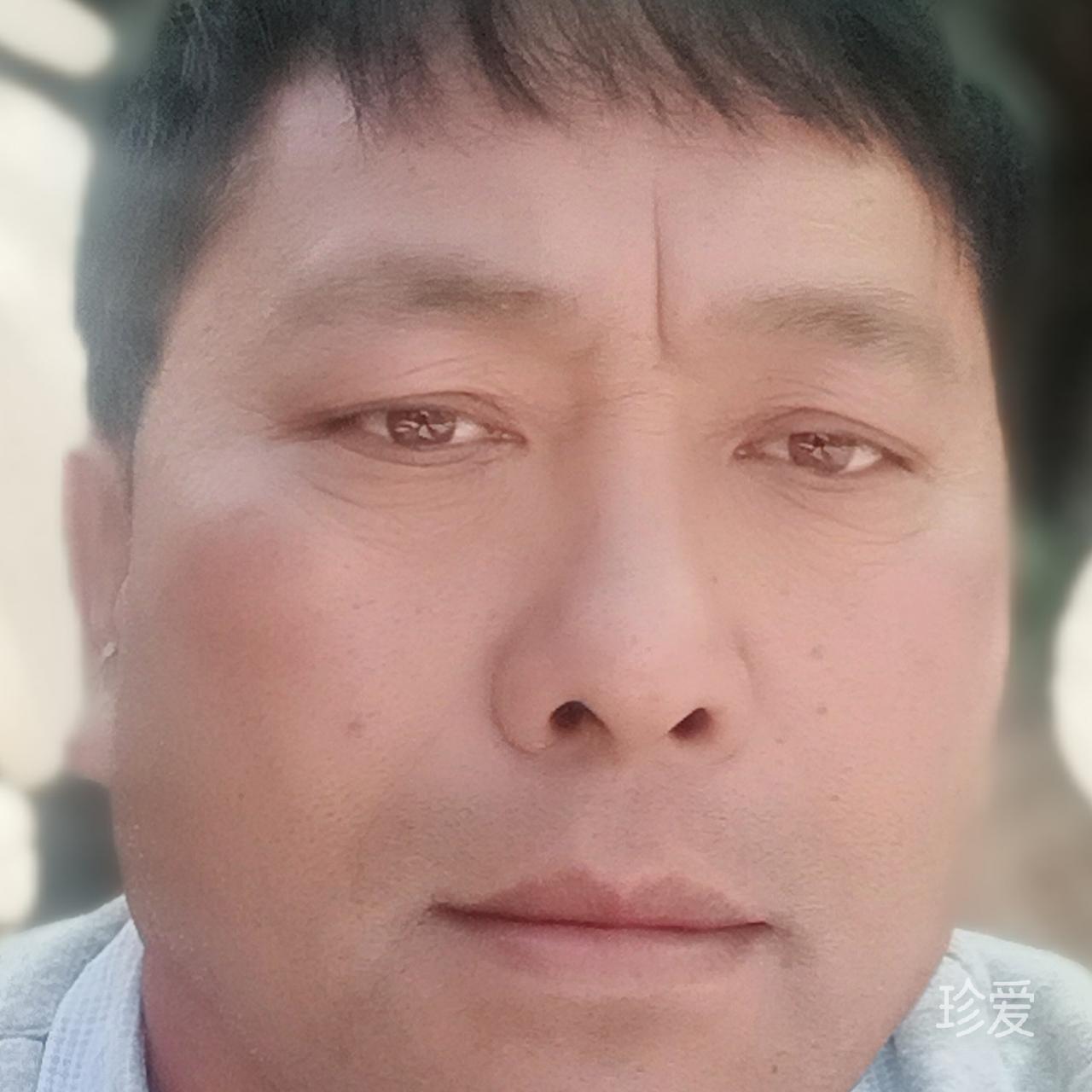 真诚不变的爱