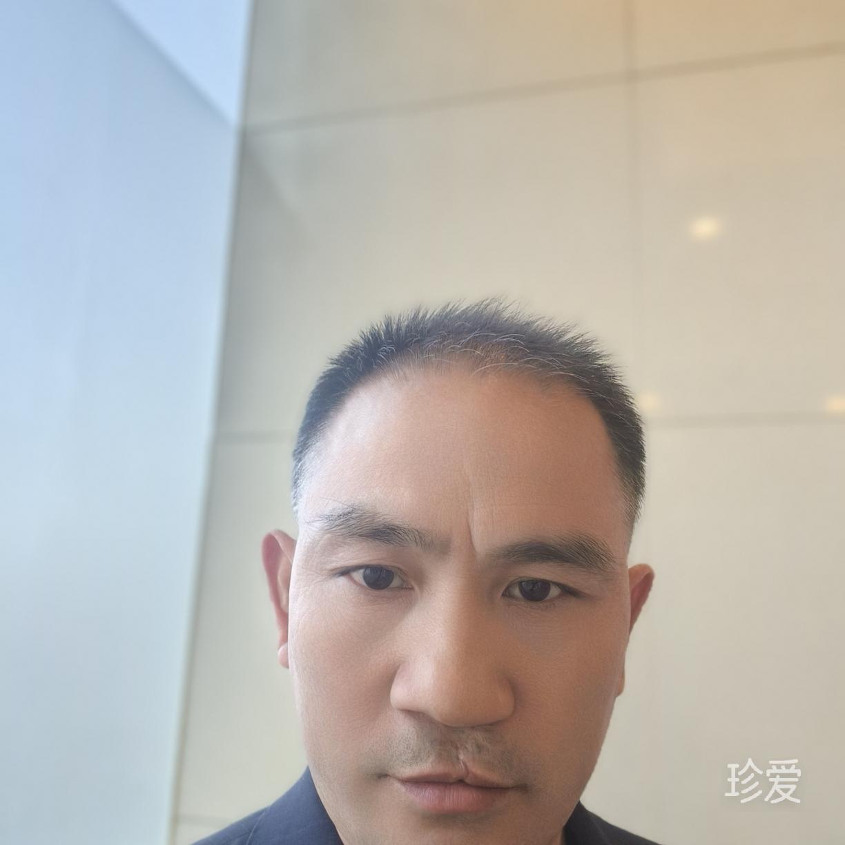 自由飞翔