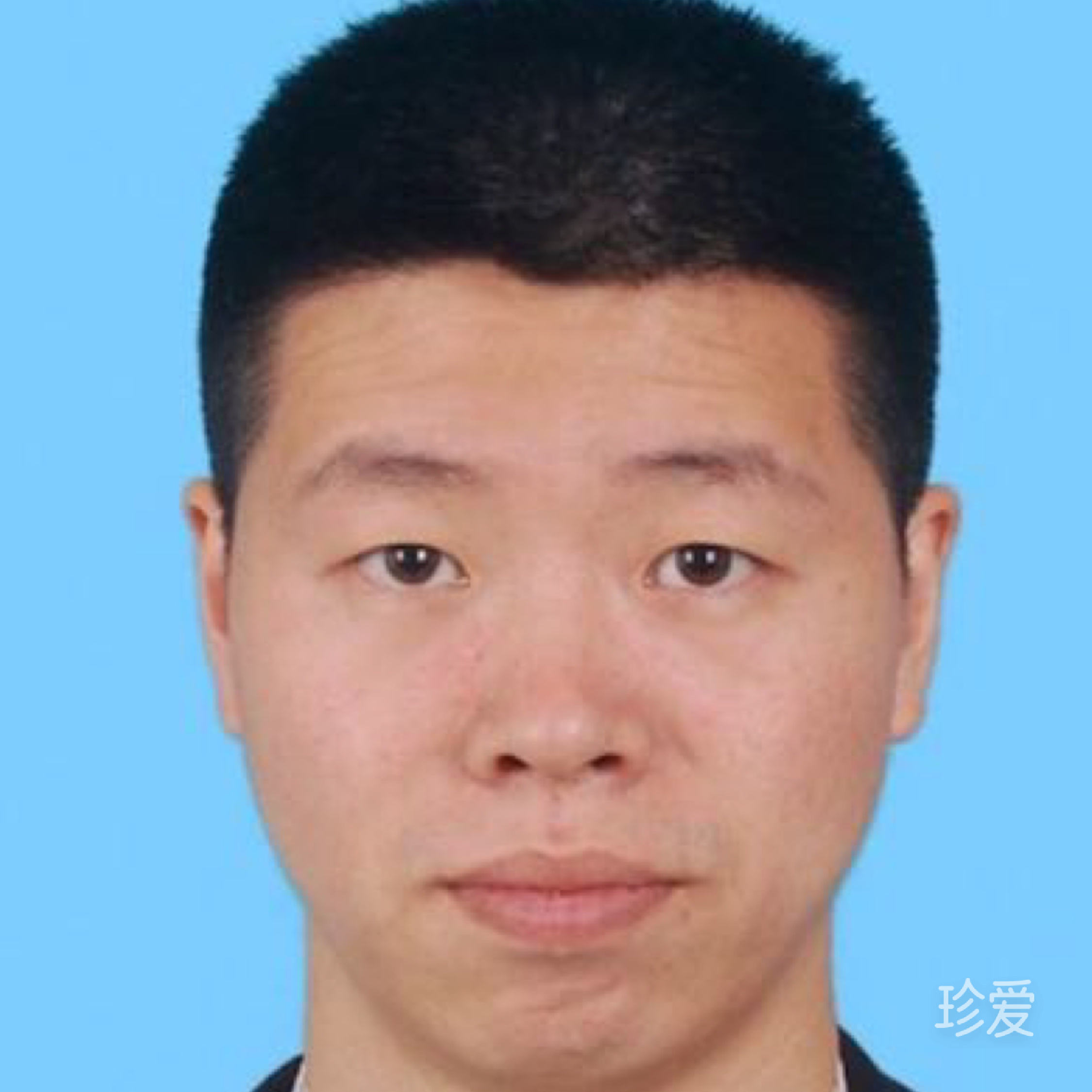 好运来小奶狗