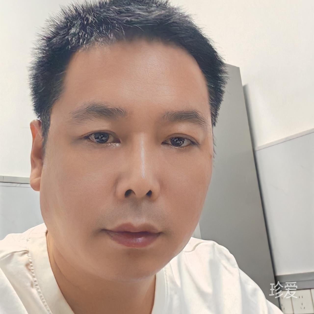 会飞的骆驼