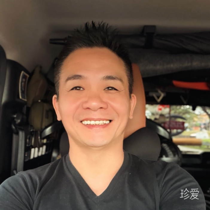 南飞的雁