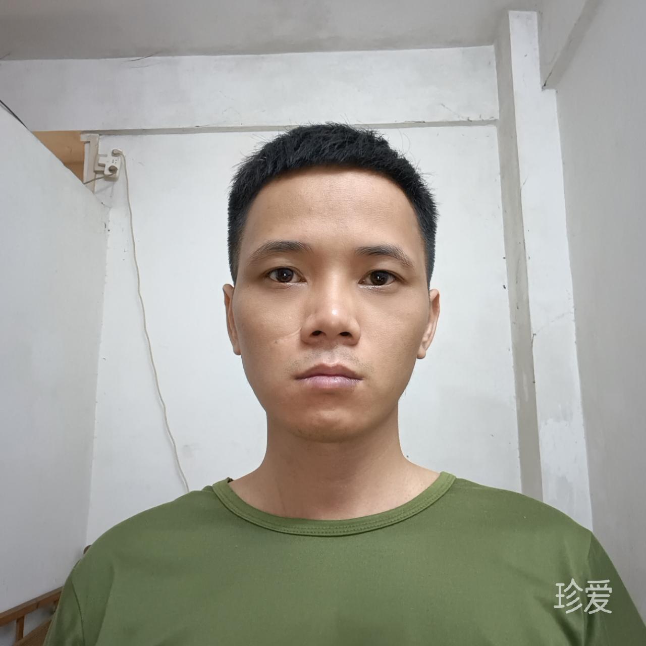 树上
