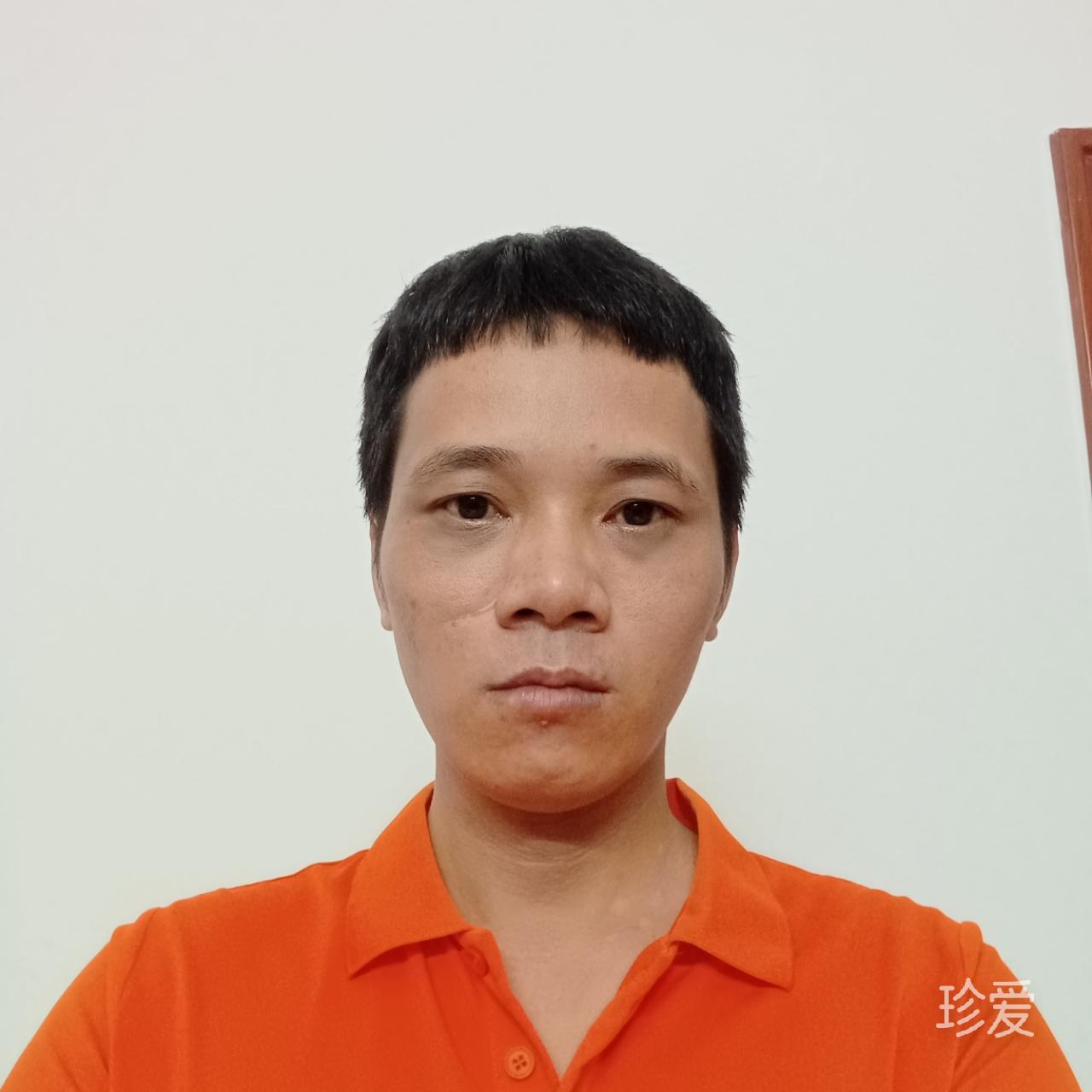 树上