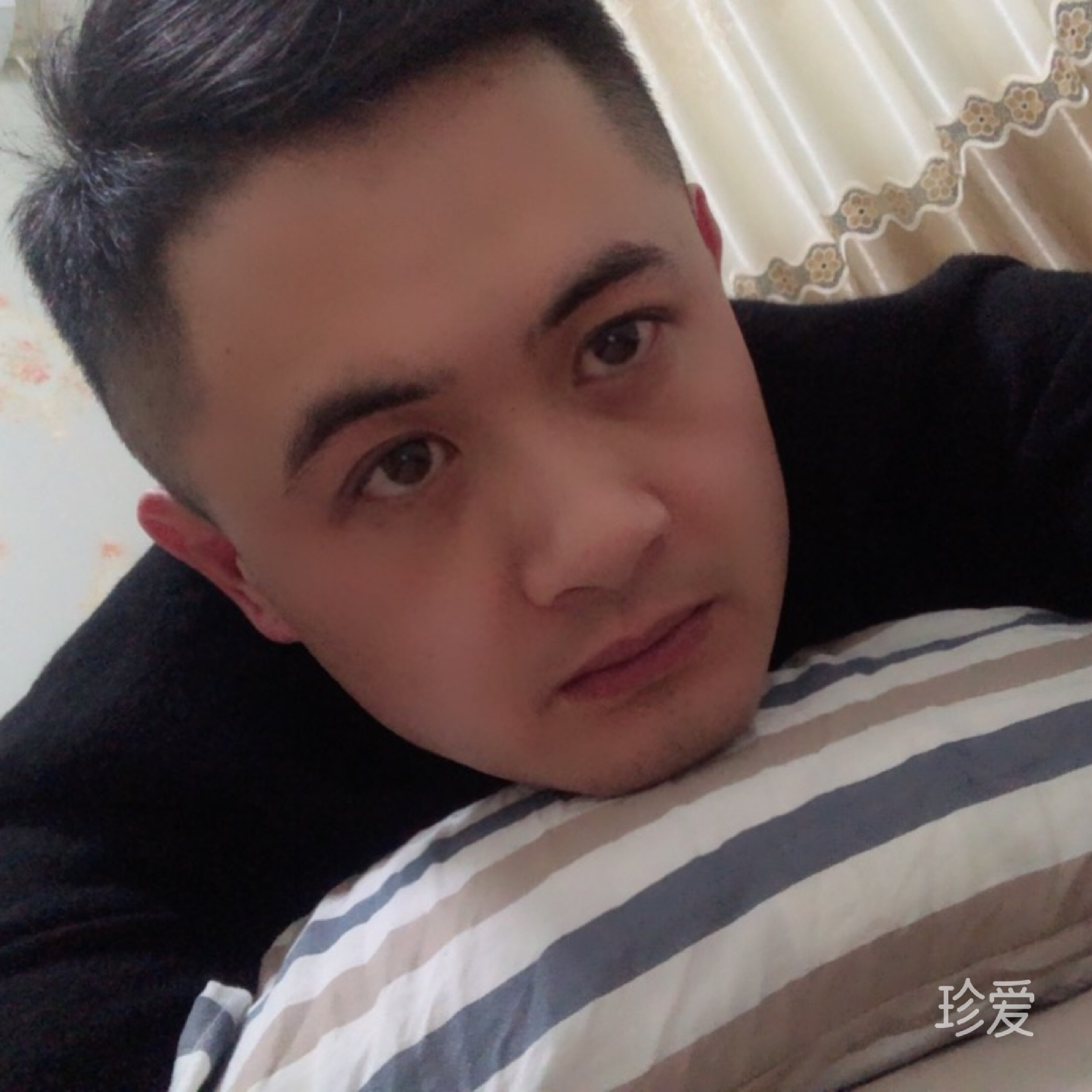 養(yǎng)條狗叫金毛