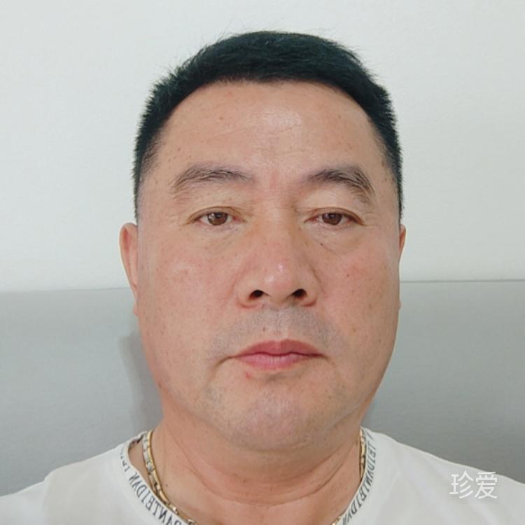 長青樹，老劉