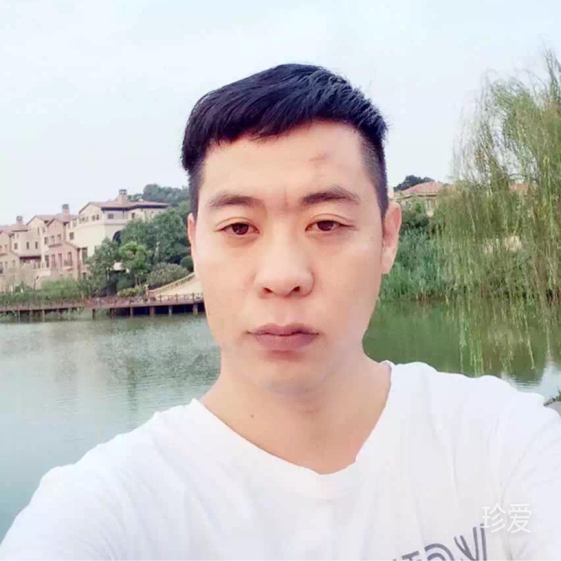 张振龙