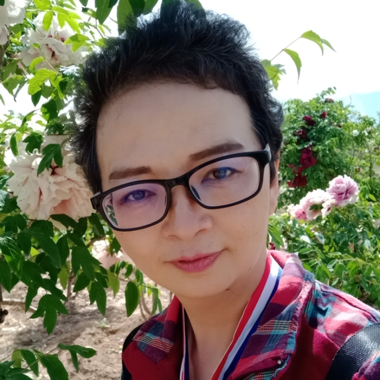 丟了幸福的笨豬