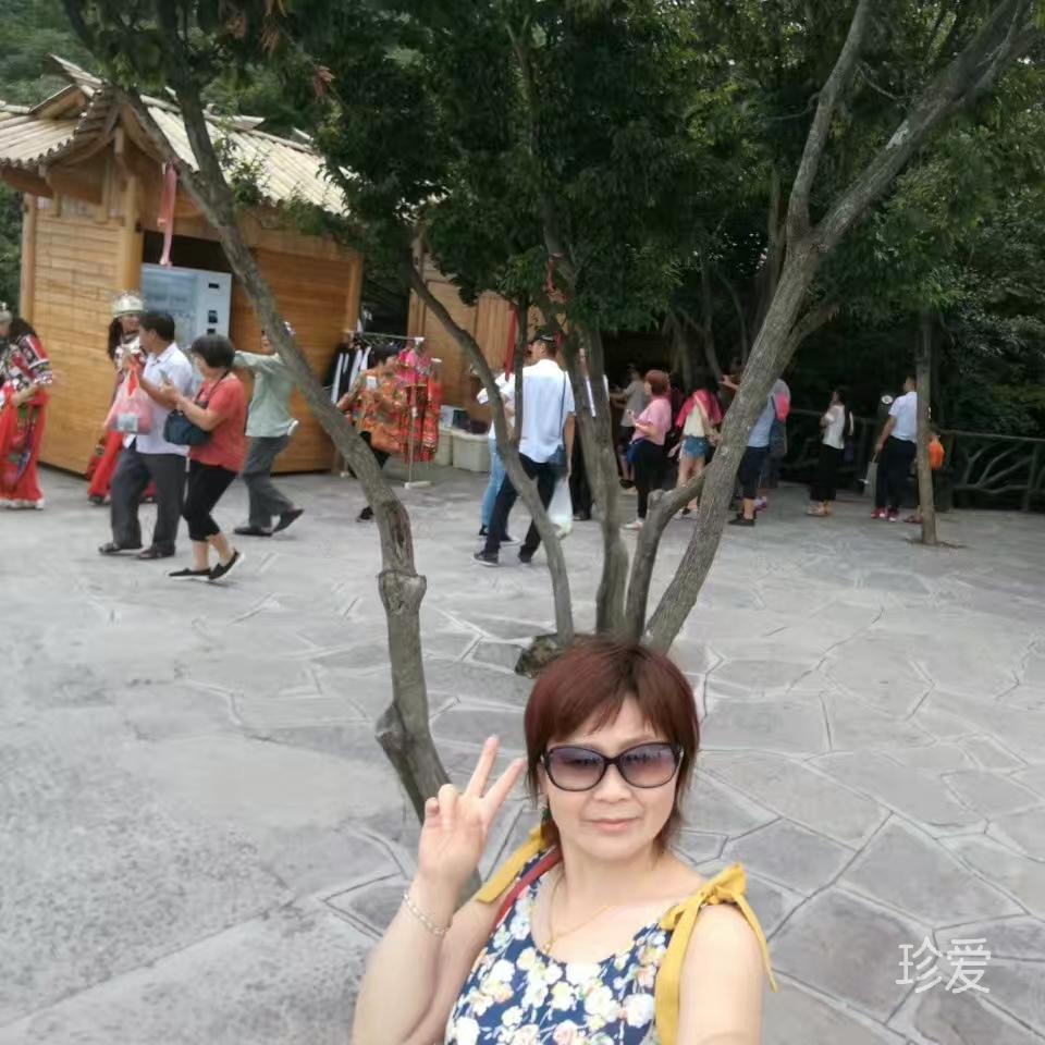 孤傲一只梅