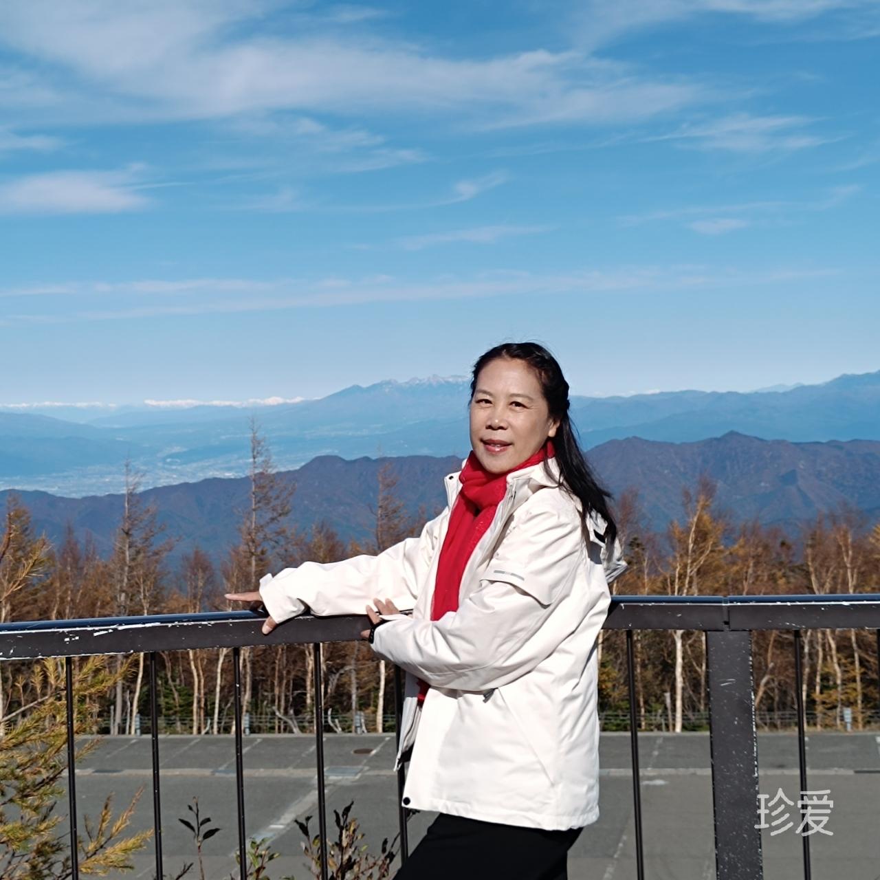 人生若只如初见