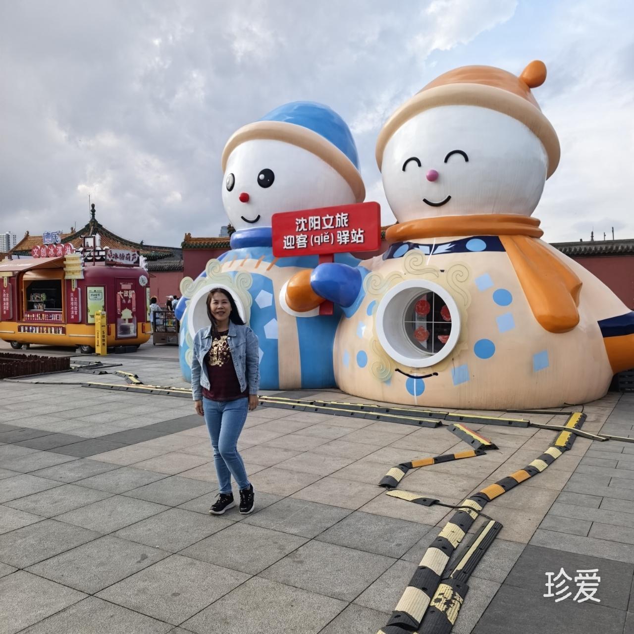 人生若只如初见