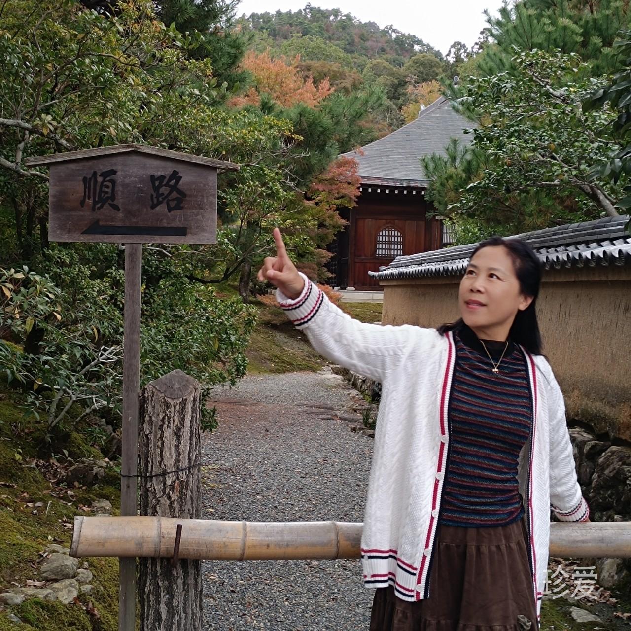 人生若只如初见