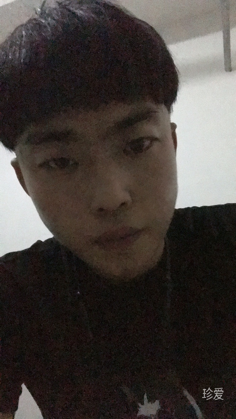 一米八三的哈士奇