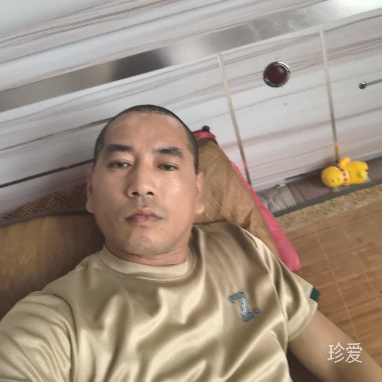 自由的天空