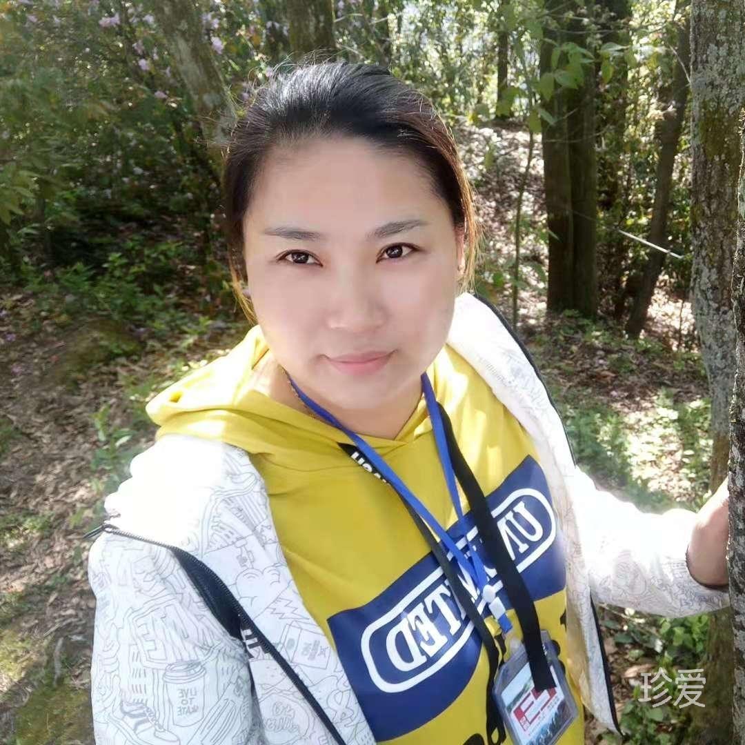 晚风辞星河