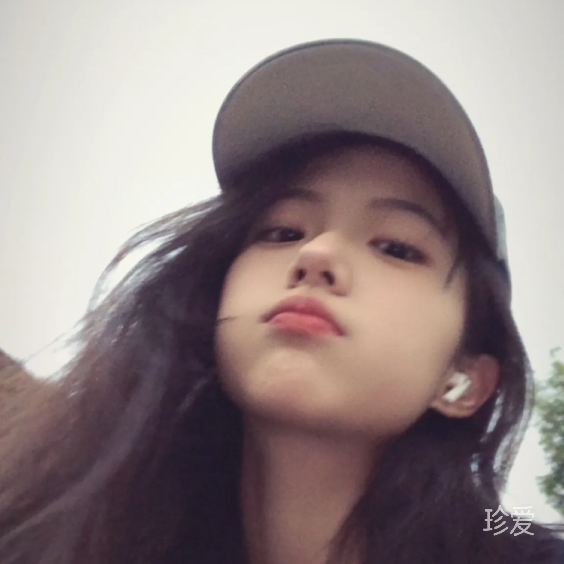 poney