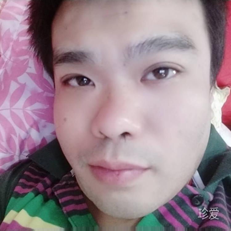 随梦而飞