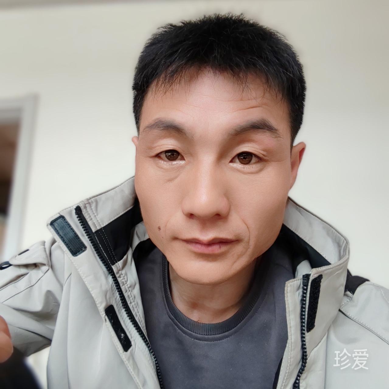 爱吃猫的鱼