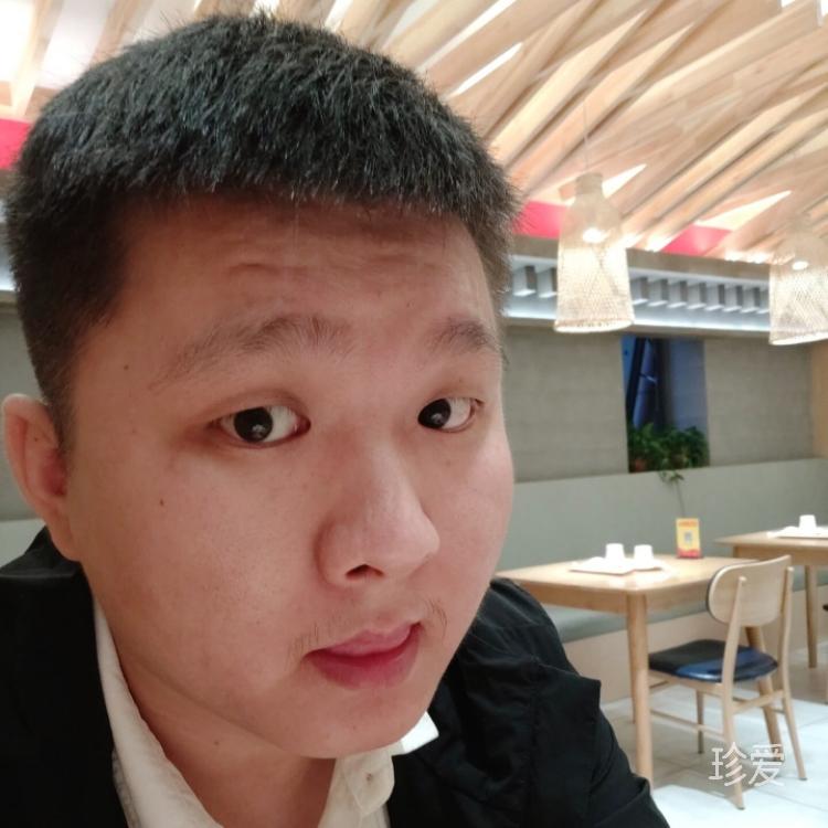 白衣若雪静素吟