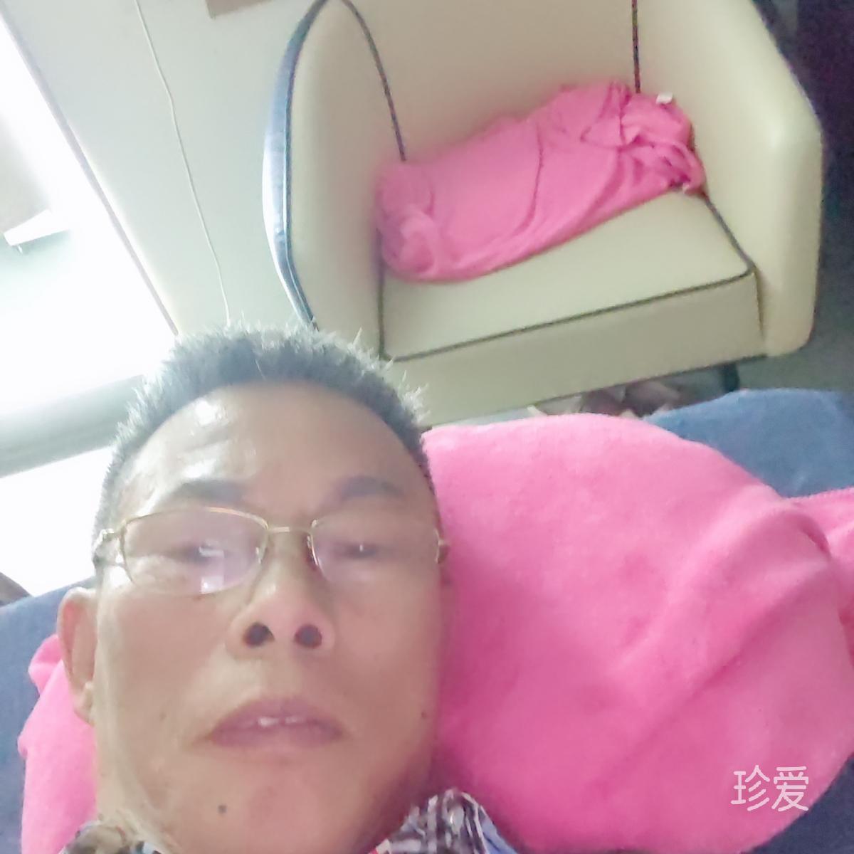 大海里的小猪