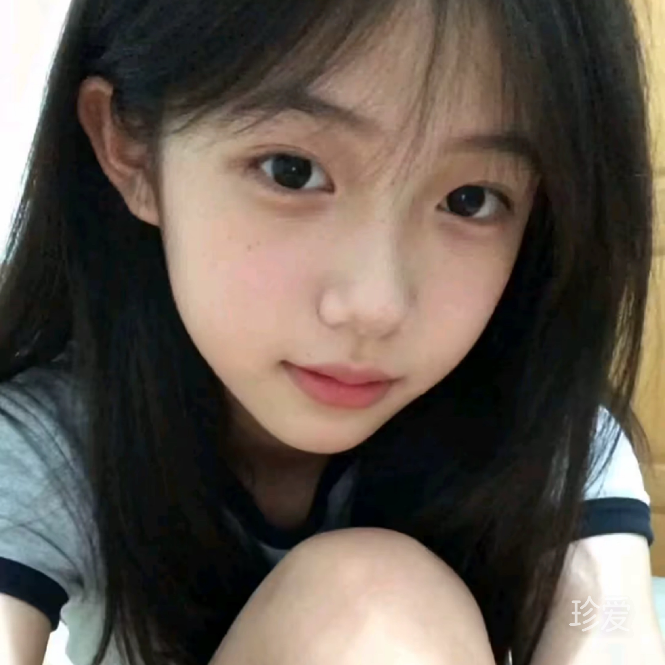 柠檬饼干猫