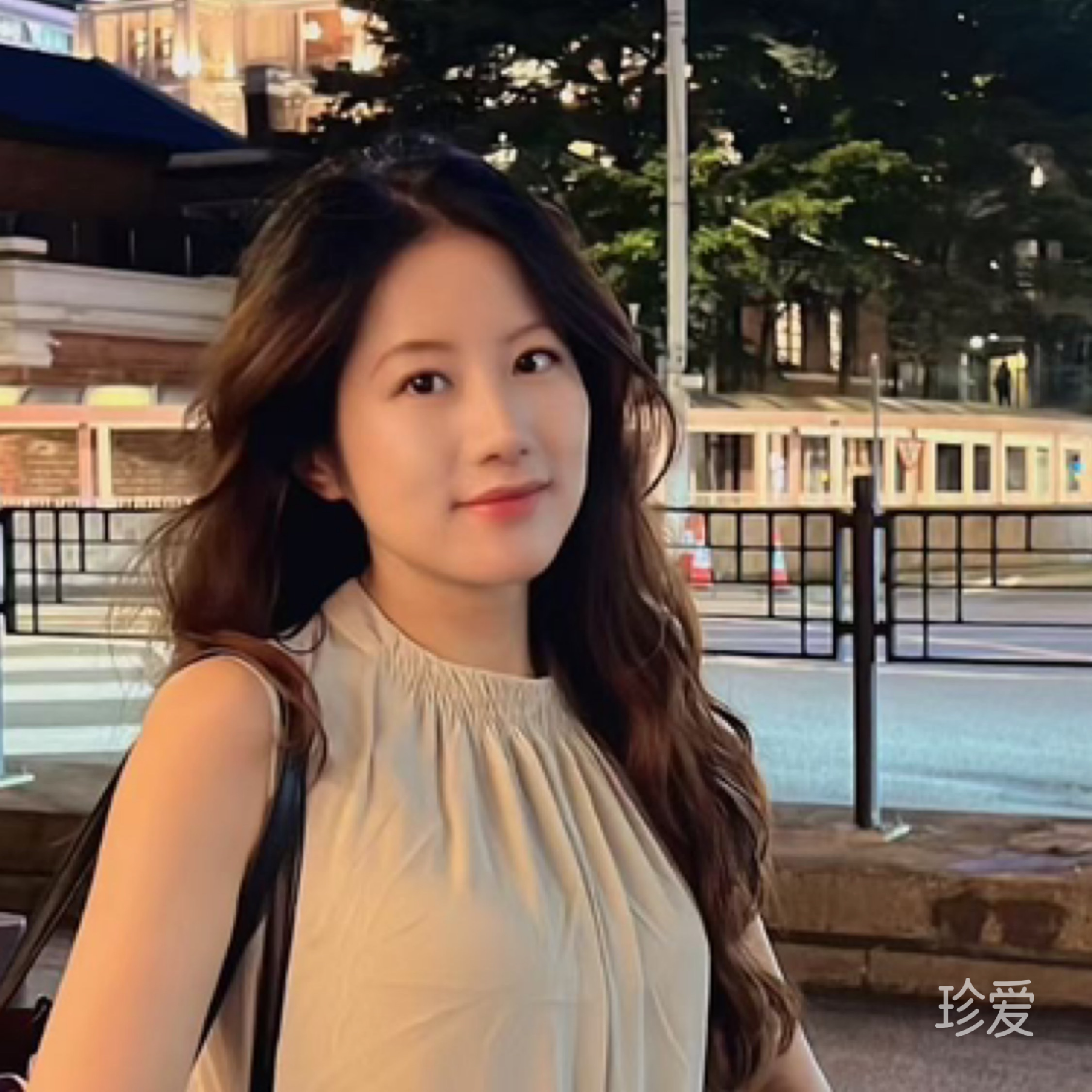 北海芥末味海豚