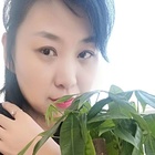 藝桐