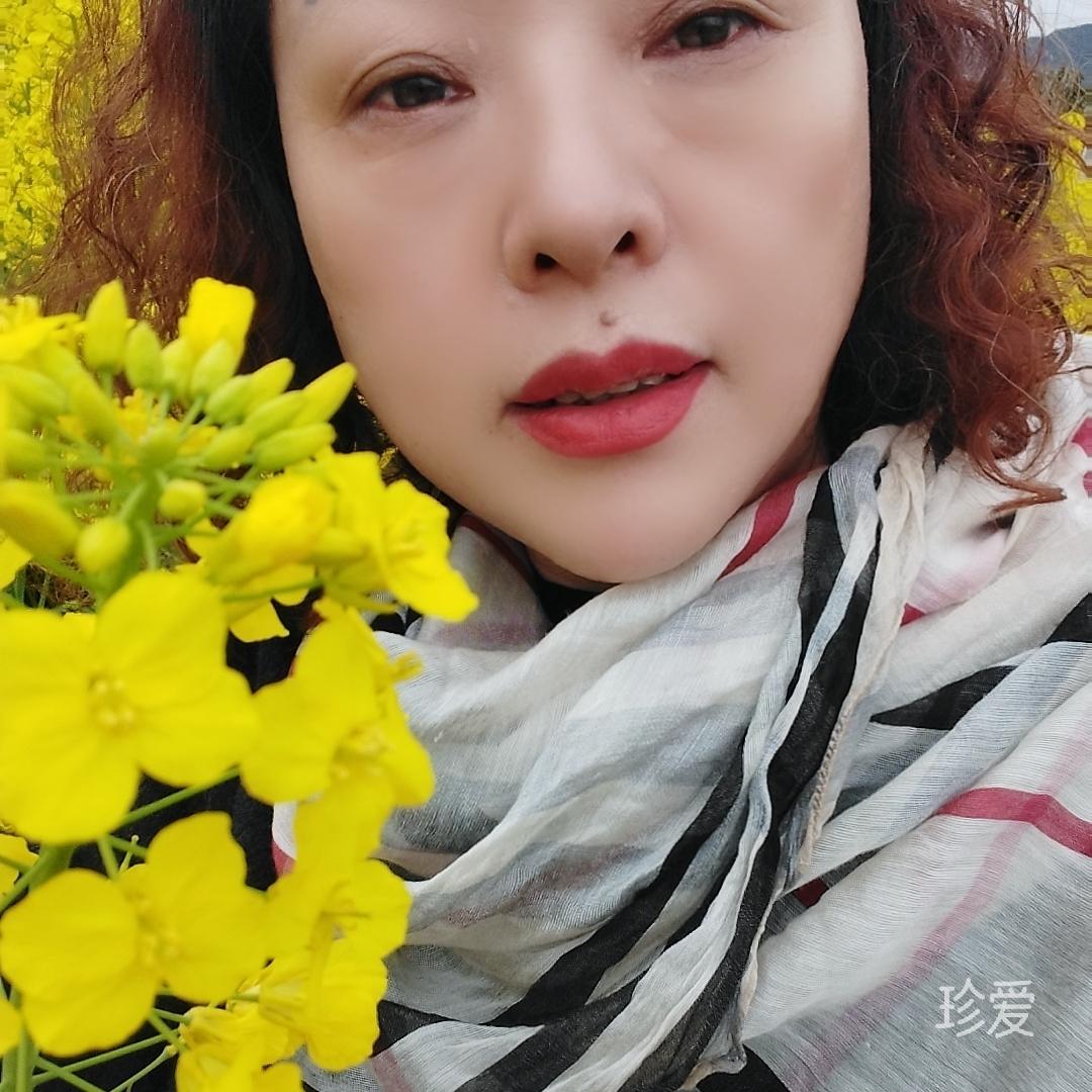 依人