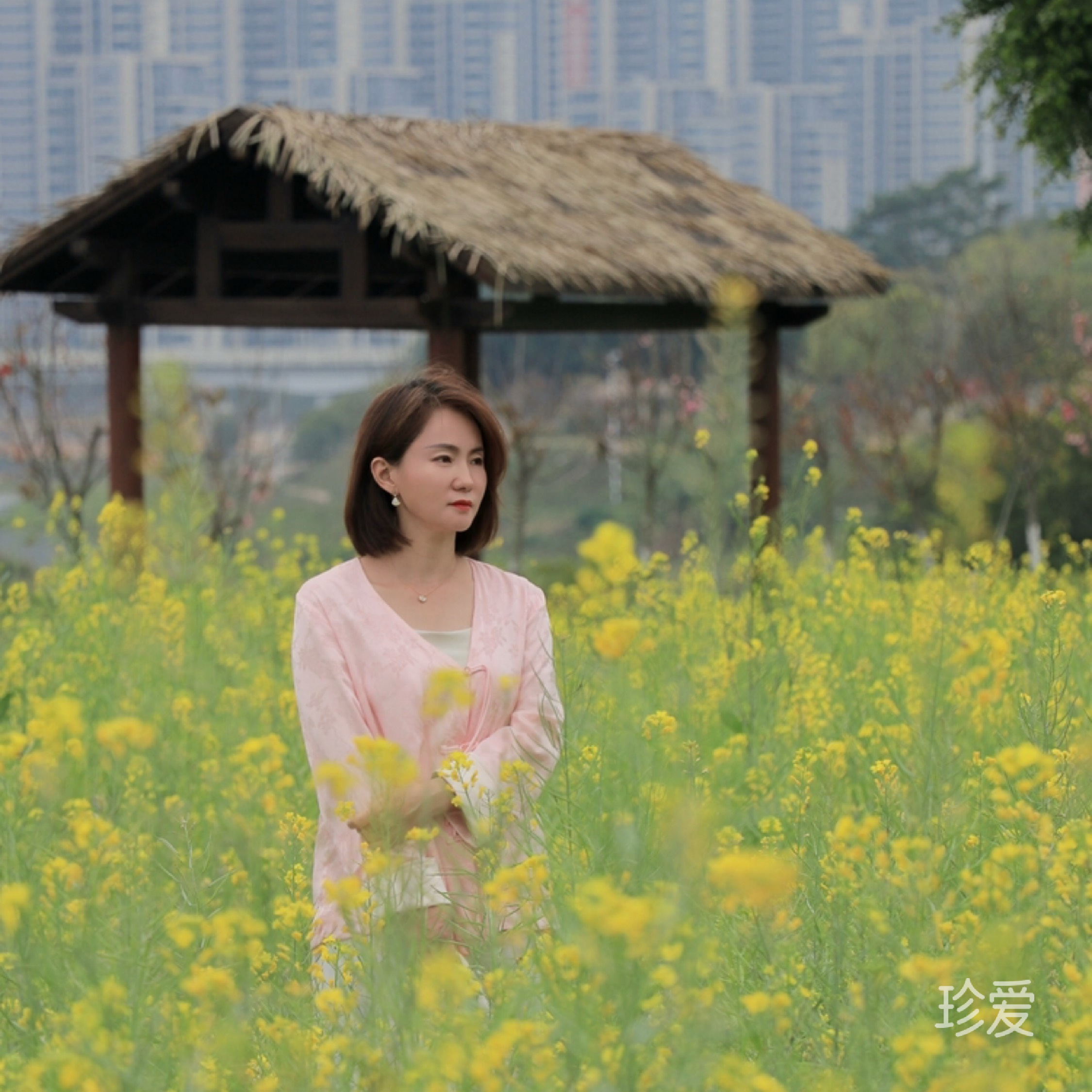 花揪