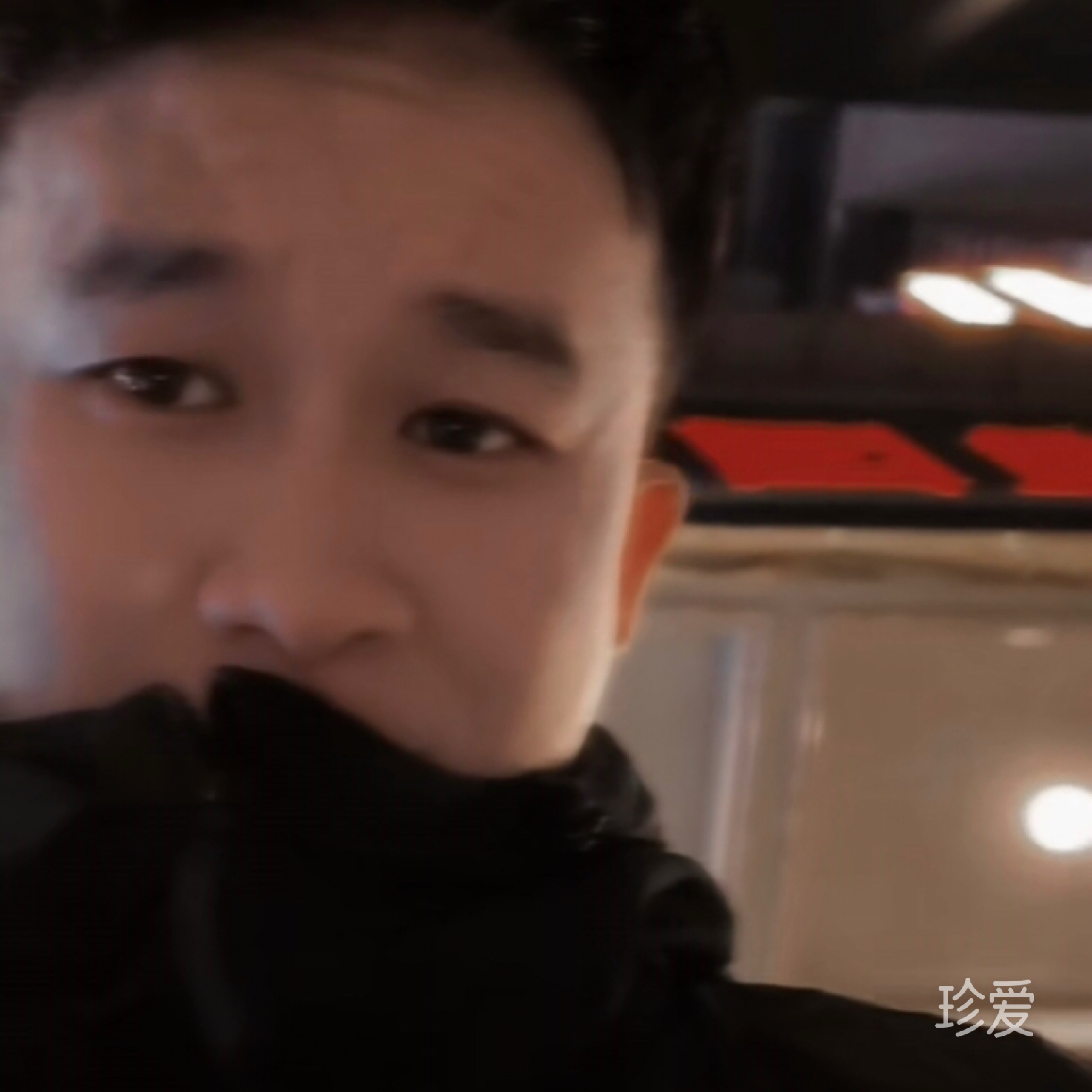 梓木