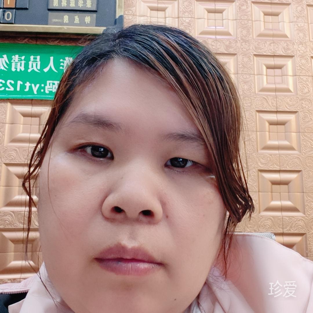 傲雪寒梅独自开