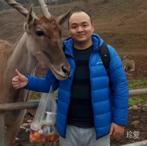 芝士蛋糕