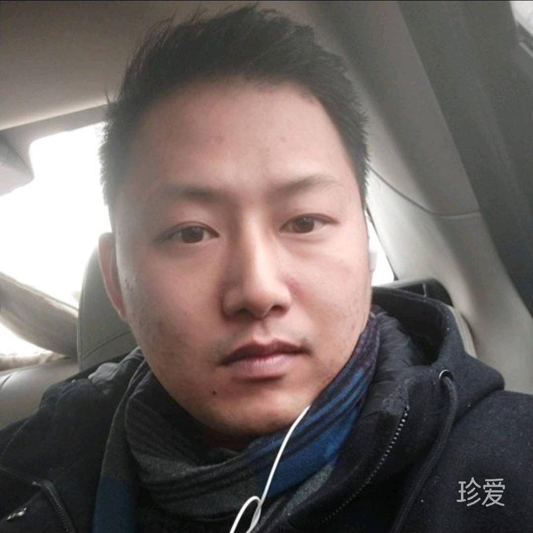 反方向的猪
