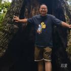 止觀