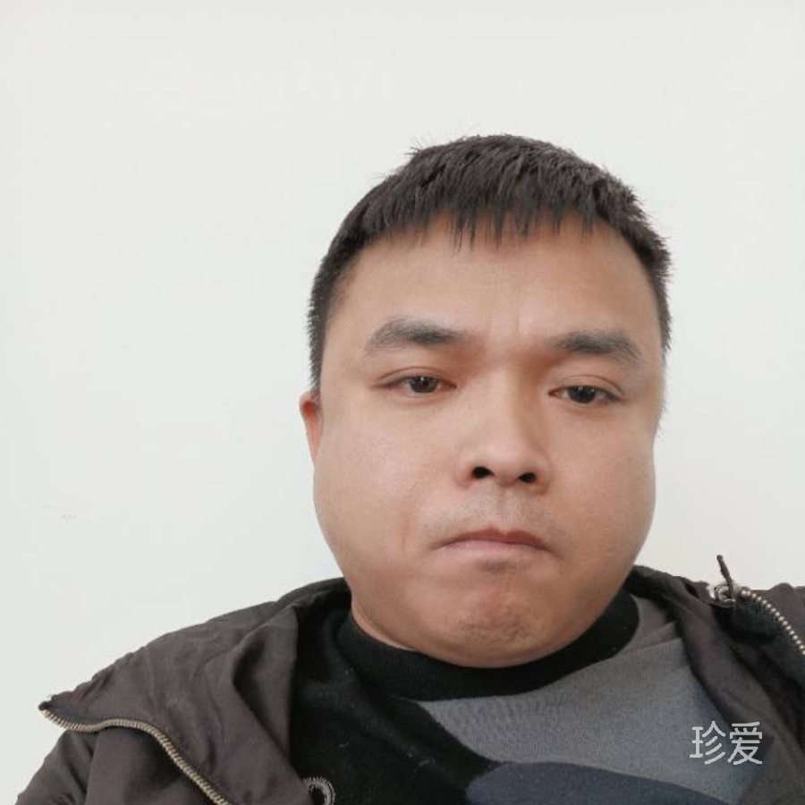 晨枫