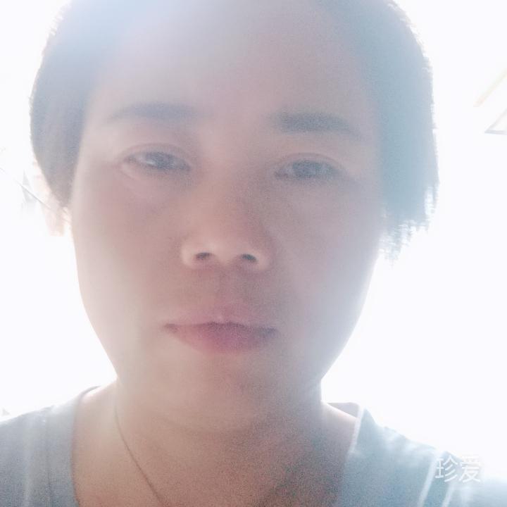 晴雨荷