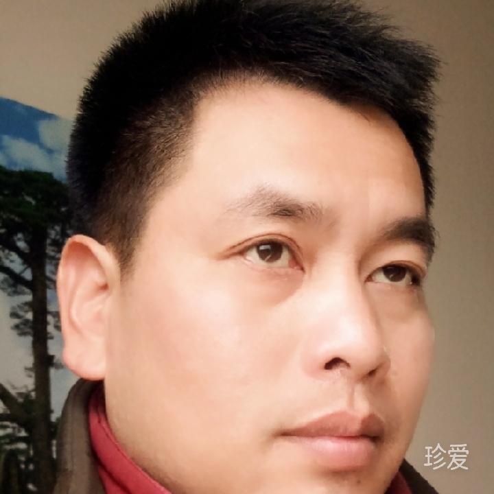 桂岭一枝
