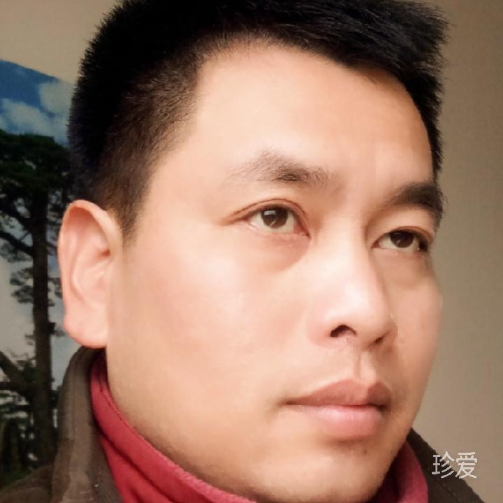 桂林一枝