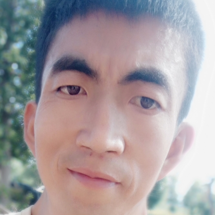 树欲静而风不止