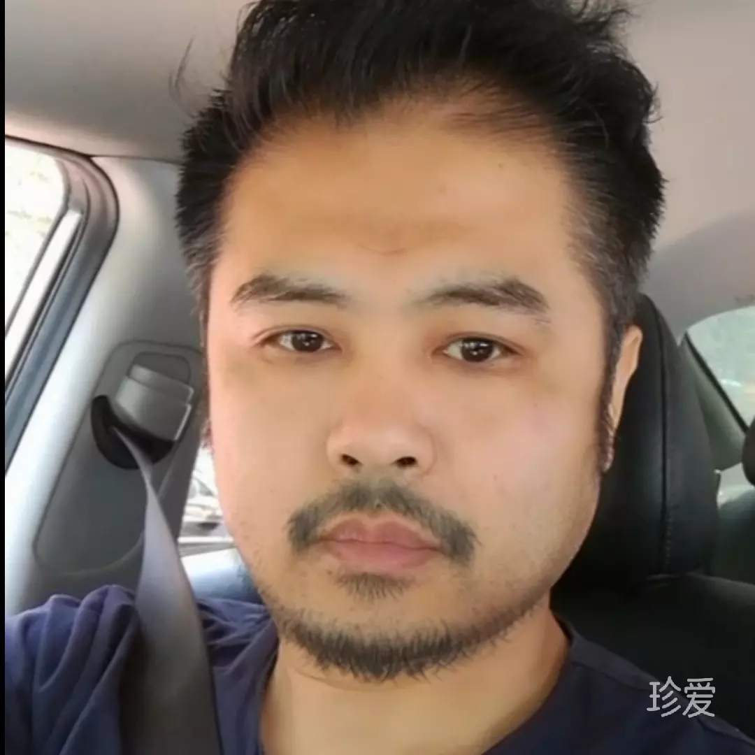栖身港湾余生不渡