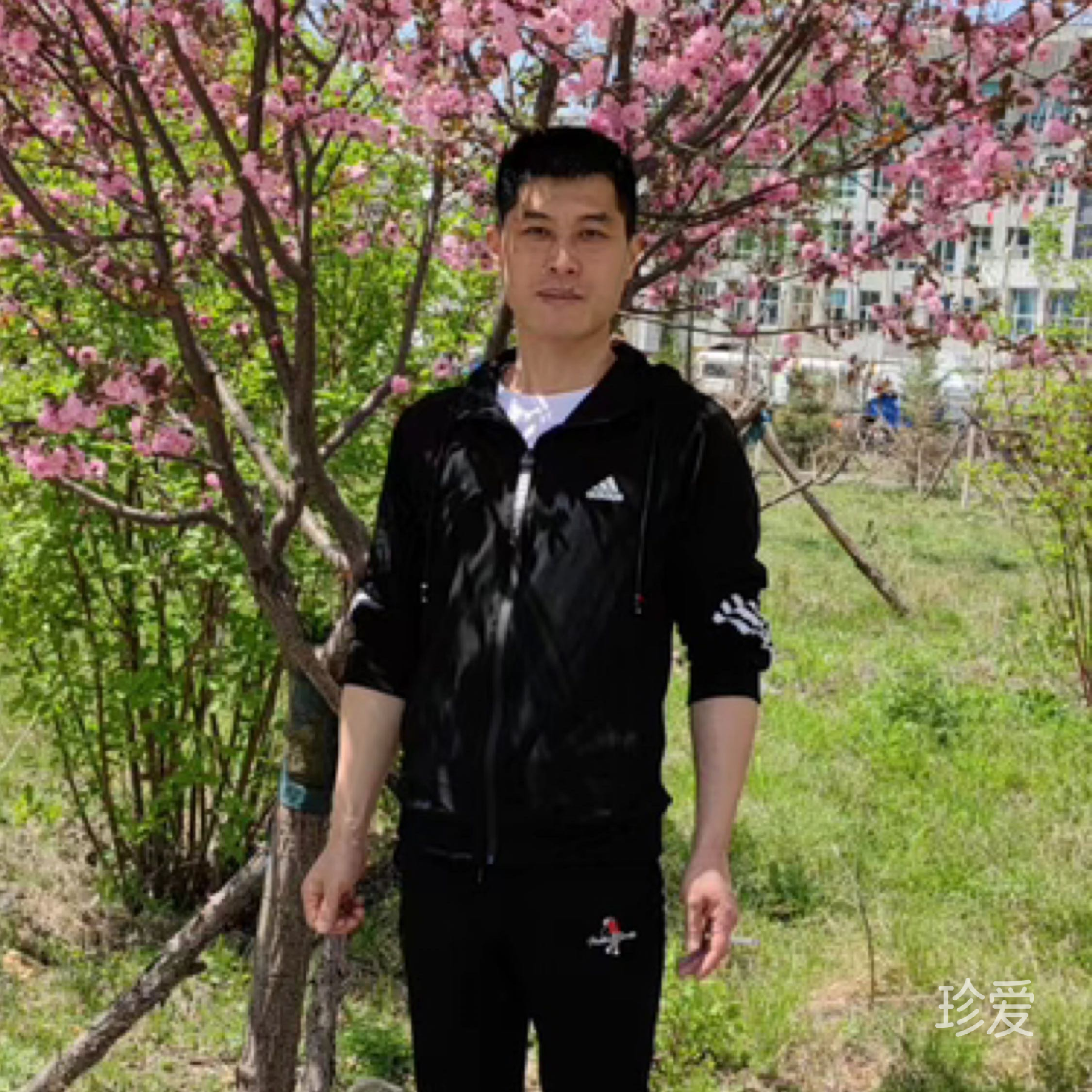 小树不修不直溜