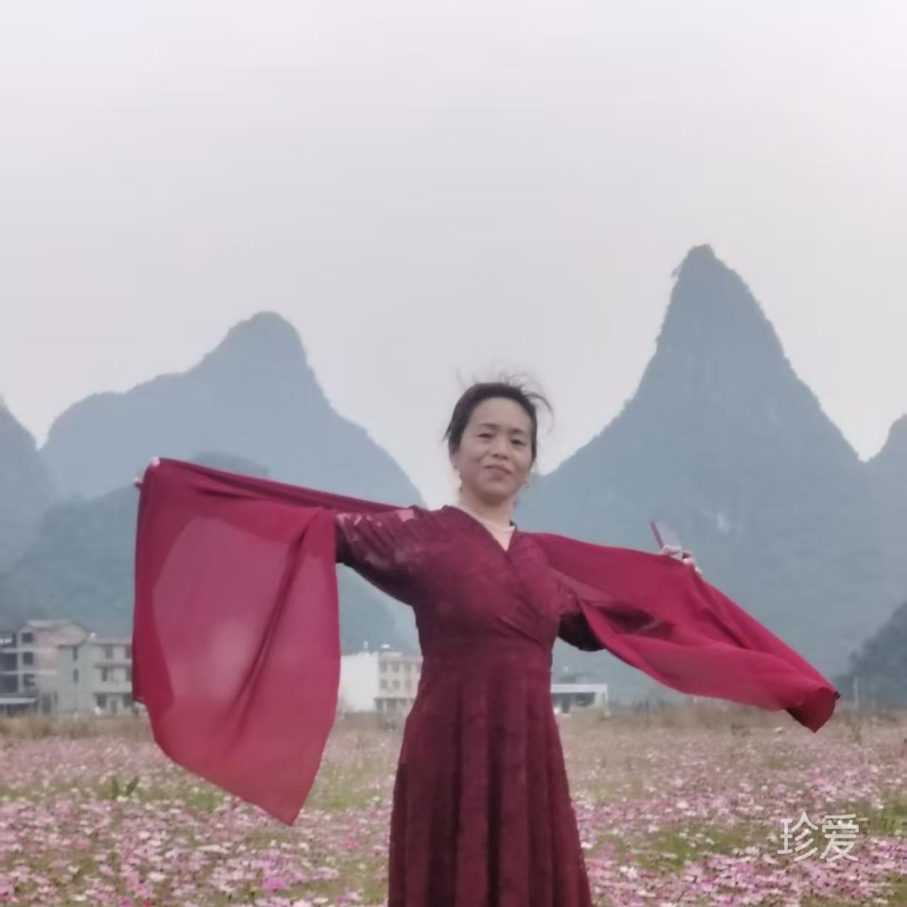 紫色郁金香