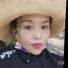 紫色郁金香