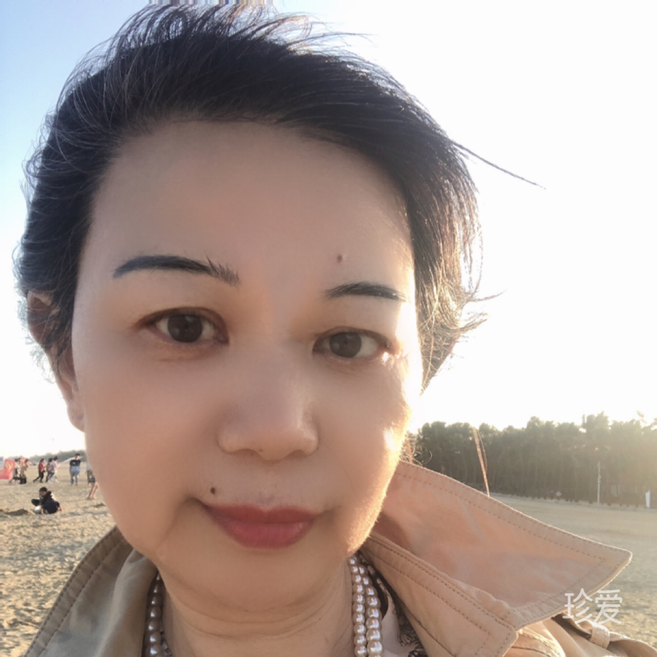 山水情