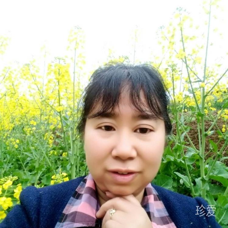 枫叶