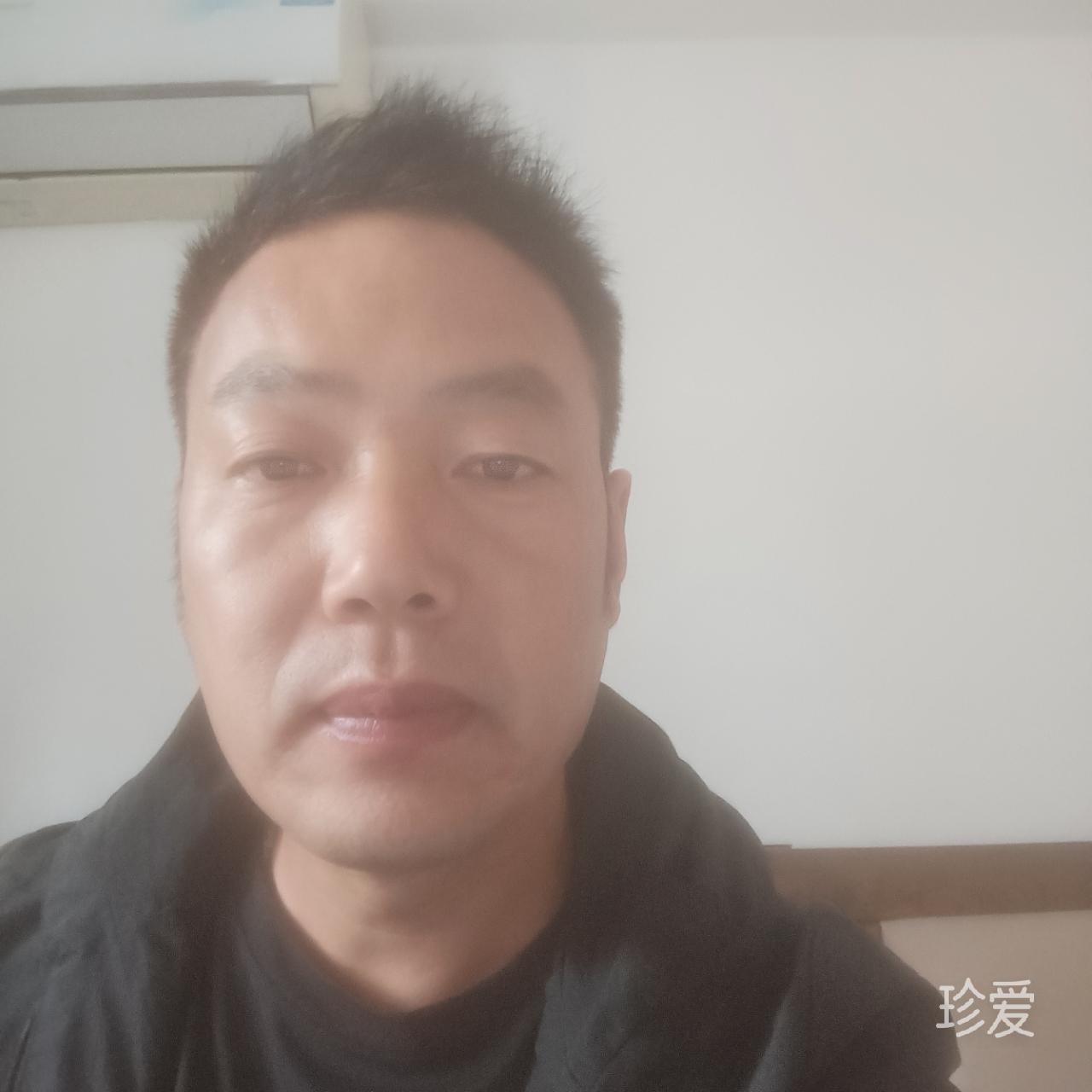 左岸