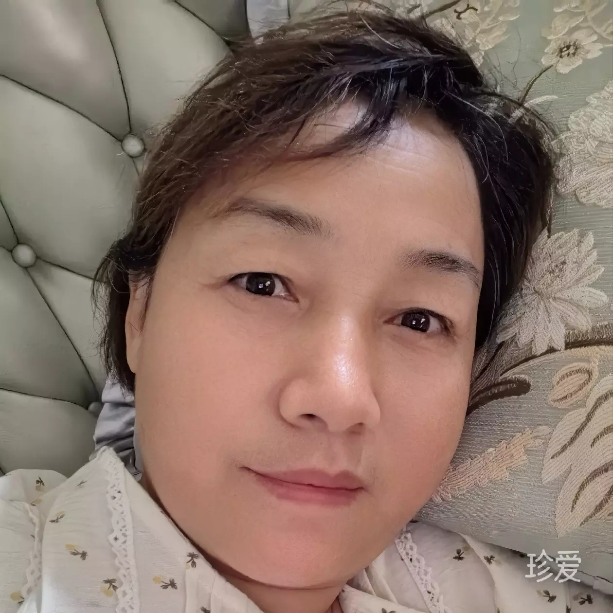 雪舞蝶梦