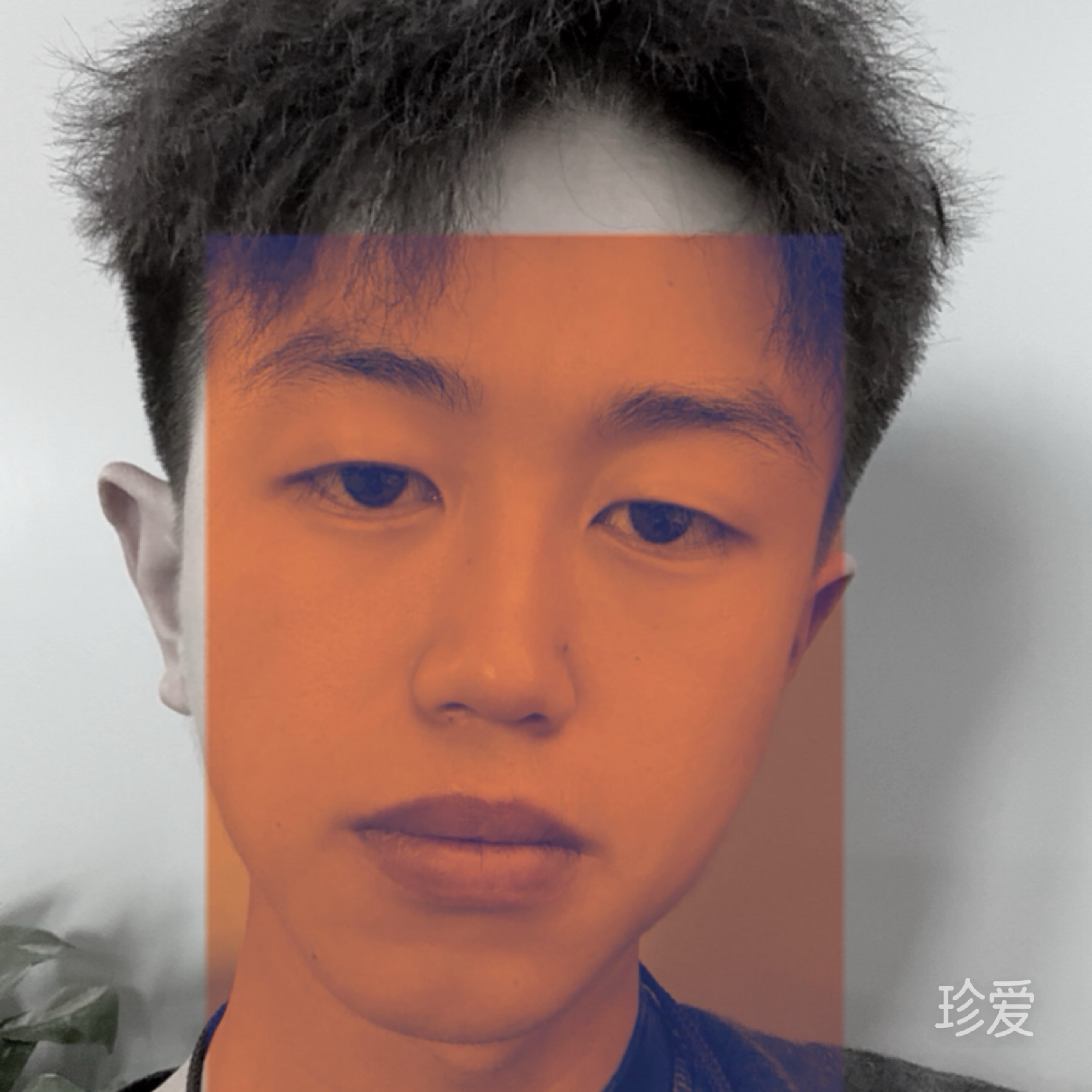 天伦之乐