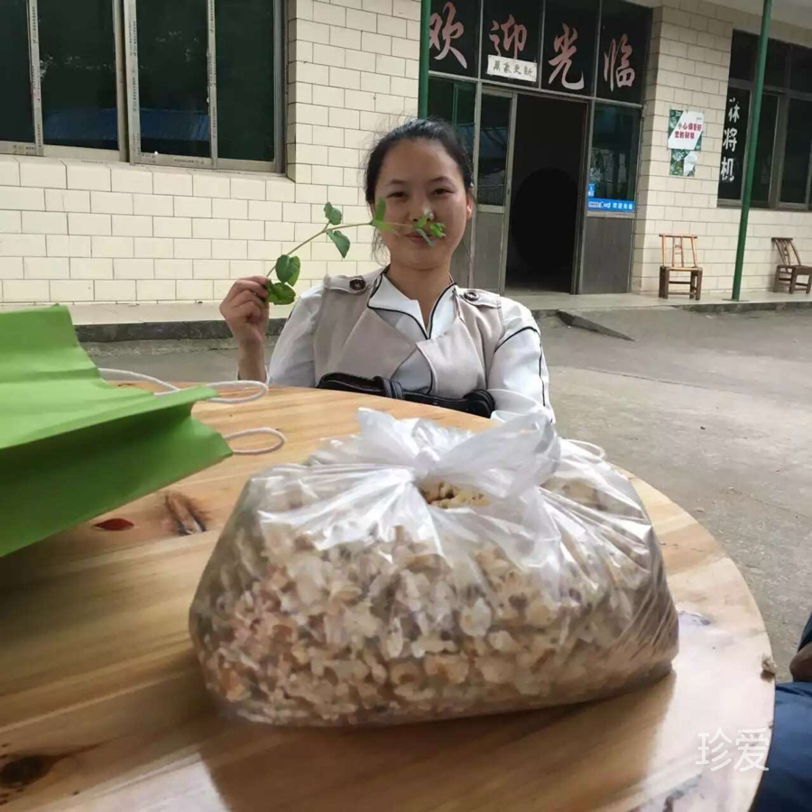 牧羊小妞
