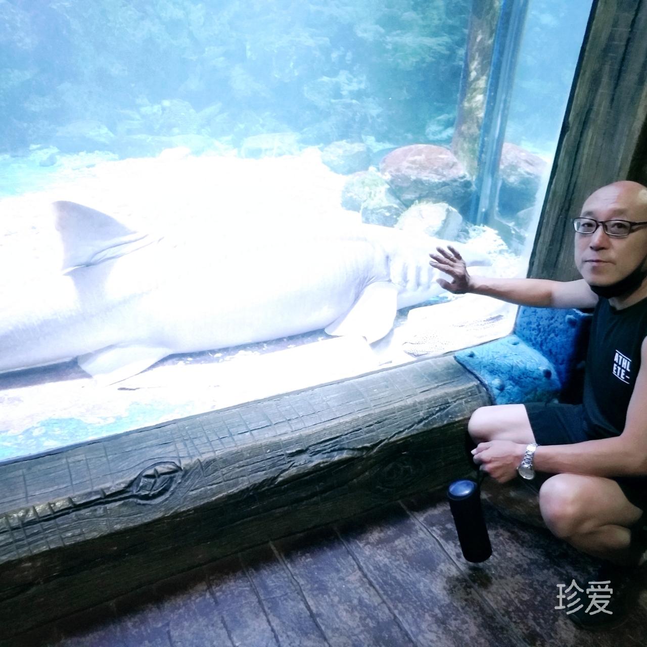 别太著紧